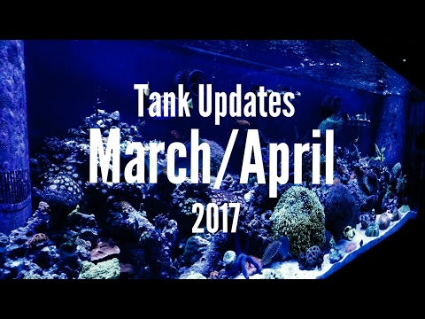 Tank update for March April 2017