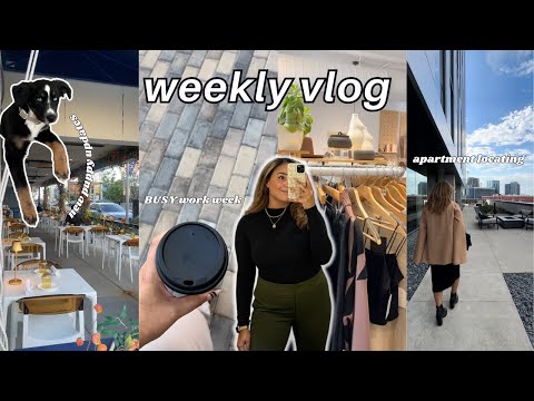 WEEKLY VLOG // Work days as an apartment locator, puppy vet appointments + BUSY during slow season