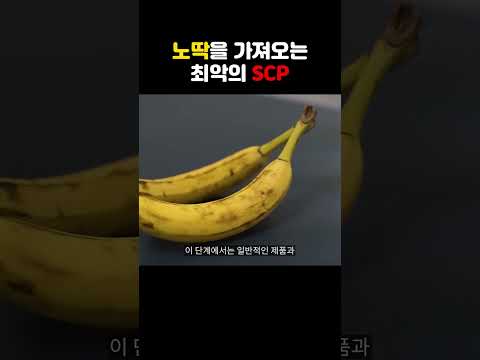 노딱을 가져오는 최악의 SCP