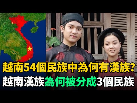 越南54個民族中為何有漢族？越南漢族為何又被分成3個民族？原因太扎心