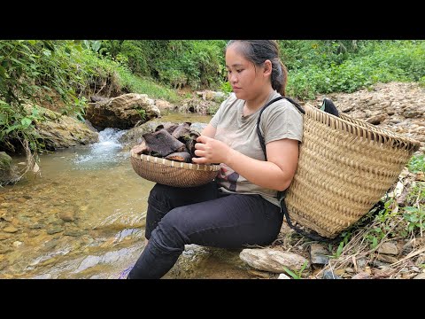 Find tubers in the forest, wash them in the stream and sell them