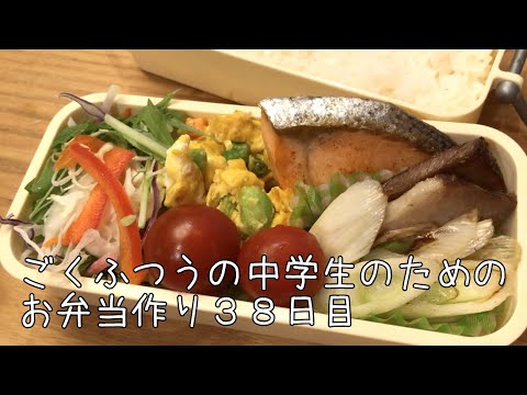 38日目♫ごく普通の中学生のためのお弁当づくり♫鮭の塩焼き弁当