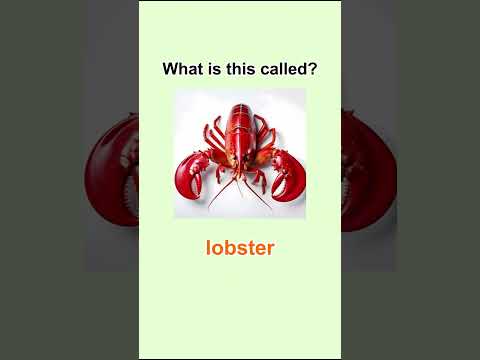 English Vocabulary 🦀🦐🐙#englishvocabulary #learnenglish #dailyenglish #esl #englishlearning #quiz