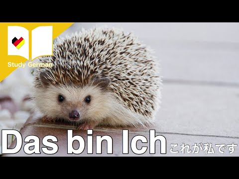 Das bin Ich　これが私です｜ドイツ語で自分のことを言ってみよう！