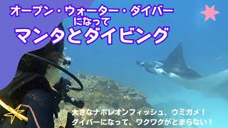 バリ島でダイバーになってマンタとダイビング！