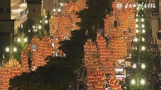 秋田竿燈まつり開幕　「光の稲穂」２６３本、夜空照らす