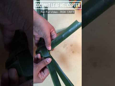 How To make A Helicopter  With Coconut Leaf | Coconut Leaf Art |DIY | DIY Helicopter.#shorts