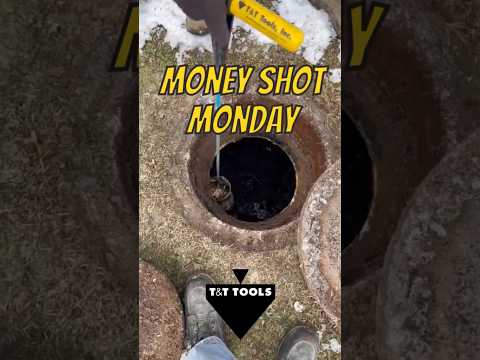 MoneyShotMonday 11/25/24 #shorts