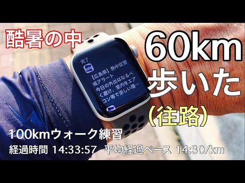 【練習16-1】2023.7.29  ウルトラウォーク100kmの練習で自己最長記録更新60km(広島市中区〜阿戸町)〜酷暑＆坂道でしんどかった