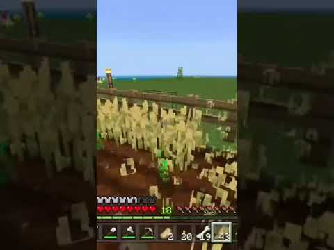 Harvesting wheat in Minecraft (Satisfying) #minecraft #shorts #short #viral