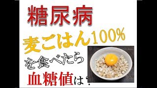 【糖尿病】麦ごはんを食べたら血糖値は？