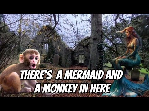 FOUND a MERMAID and a MONKEY In this graveyard, NOT CLICKBAIT