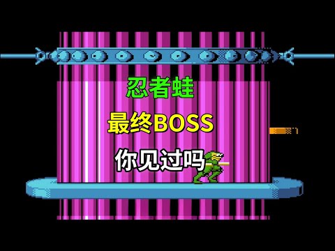 【忍者蛙】【下篇】【Battletoads】游戏最终boss你见过吗——想见女王一面难于上青天