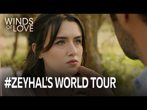 Zeynep denies her jealousy | Winds of Love Episode 164 (MULTI SUB)