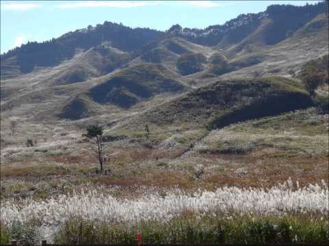 砥峰高原　2014　秋