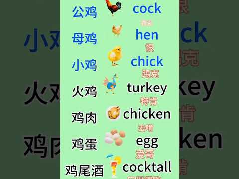 鸡类英语单词 #mandarin