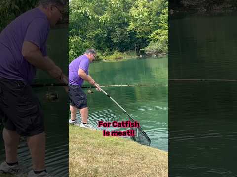 The BEST Catfish Bait To Fish For Catfish!! 🎣 #shorts #fishing #catfish