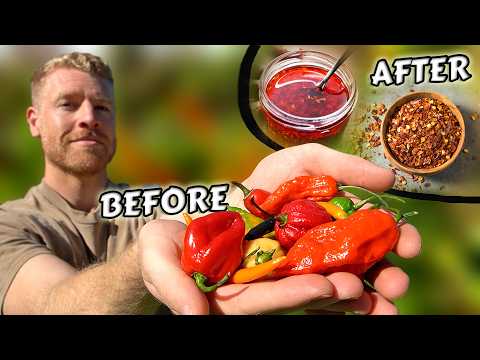 3 Awesome Ways to Use HOT Homegrown Peppers 🌶️