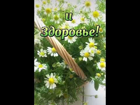 Доброе Утро !!!