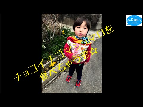 たーちゃんとチョコイチゴマシュマロ☆