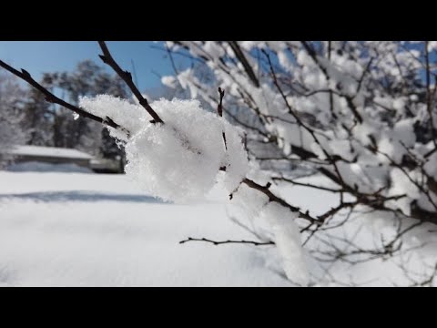 【岡山県真庭市】雪の蒜山でアツアツちゃんぽん😋あったか〜い‼️【中華一番】【蒜山グルメ】