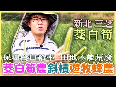 【新北市三芝區】青農簡誌良 找回從農的身體記憶|有機無毒|美麗心台灣(191-2)