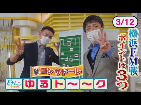 「コンサドーレゆるト～～ク」STVどさんこワイド朝コンビで展望　第３弾