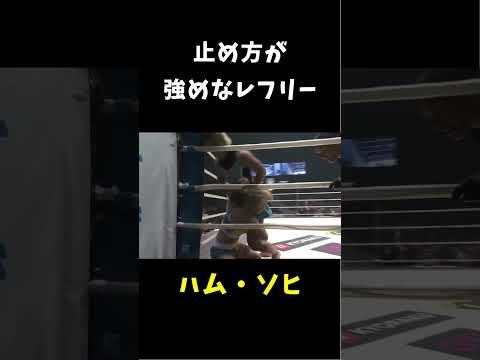 止め方が強めなレフリー #shorts #rizin #mma