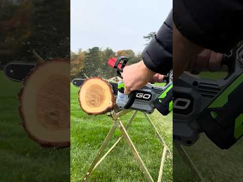 The NEWEST Top Handle Chainsaw for 2025 #chainsaw #arborist #treecare