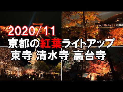 【京都旅行】SONY RX100 Kyoto Autumn Leaves 京都の紅葉　夜間ライトアップ　東寺　清水寺　高台寺