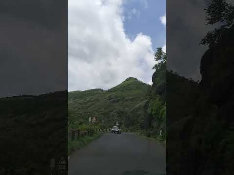 Did you spot the road sign... #india #summer #travel #roadtrip #street #mountain #tree #nature