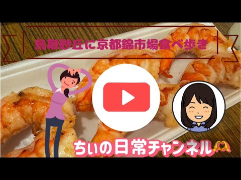 鳥取砂丘と京都錦市場食べ歩き#44