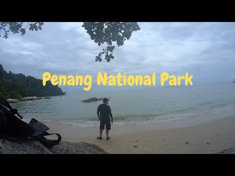 Hike Penang National Park Malaysia