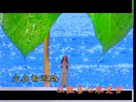 蔡可荔-自如 [KTV]