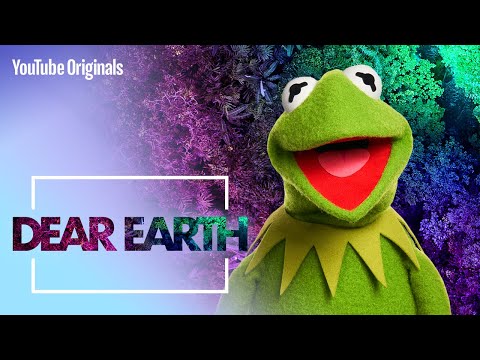 Kermit The Frog | Dear Earth