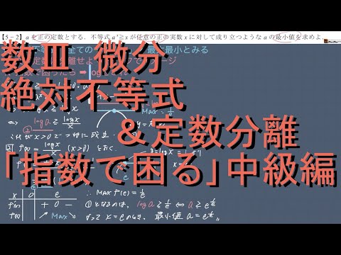 数III 微分 5-2｢絶対不等式&定数分離•指数で困る｣中級編