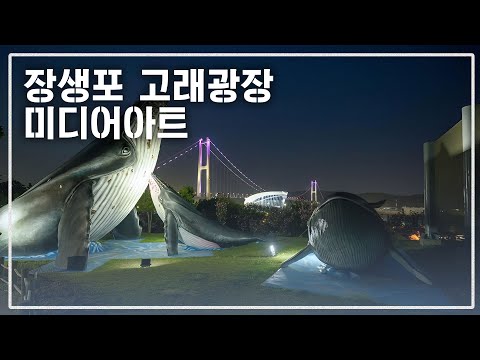 울산 고래광장 미디어아트 소개