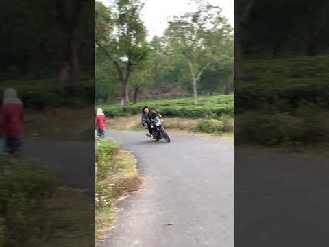 Extraordinary bike corner when I ride in a tea garden #shorts #shortsfeed #bikelover #bikelife