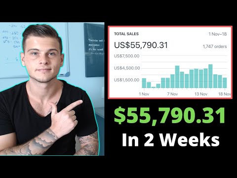 $55,790 In 2 Weeks, New Shopify Dropshipping Store Update