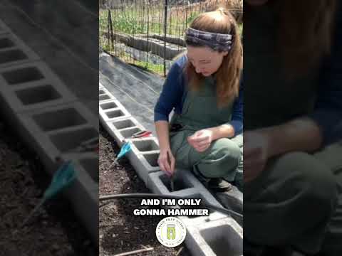 How to Build a Frame for Shade Cloth Over a Raised Bed #shorts