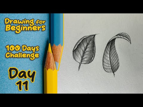 Drawing for Beginners - Day 11 || 100 Days Challenge || Leaf Drawing According to Light