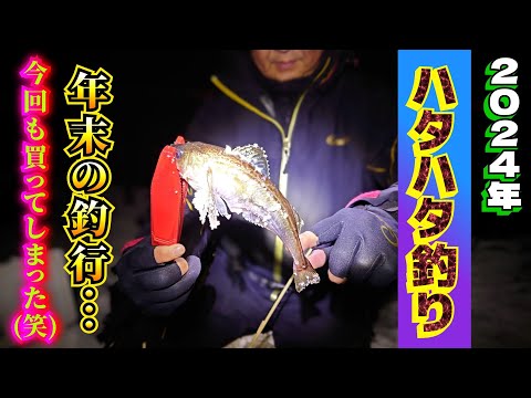 2024年【秋田 ハタハタ釣り】またまた一匹やっと釣れた…。男鹿海鮮市場でハタハタを買う。