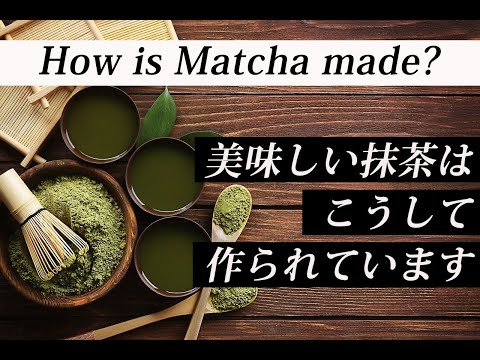 抹茶の作り方｜Japanese super food "Matcha" make【English subtitle】｜茶匠六兵衛