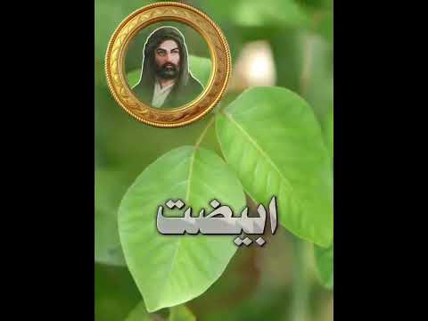 حكم واقوال الامام علي عليه السلام