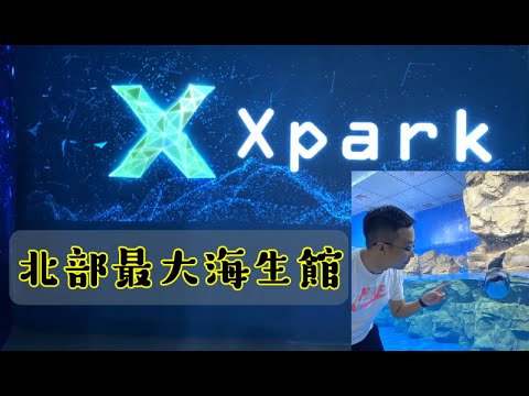 XPARK值得去嗎? 跟著榮美逛北部最大海生館!  有人不是想要吃就是想要養  【台灣旅遊】