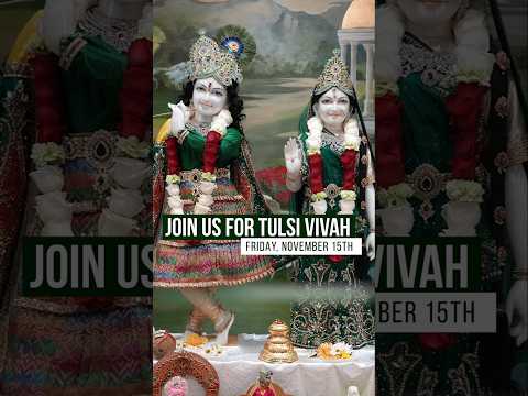 Tulsi Vivah - Experience Divine Wedding at Radha Krishna Temple of Dallas l Nov 15, 2024 #shorts