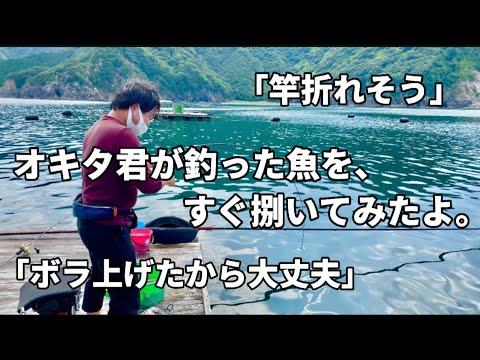 【かかり釣り】三重県南伊勢でオススメな渡船屋さん