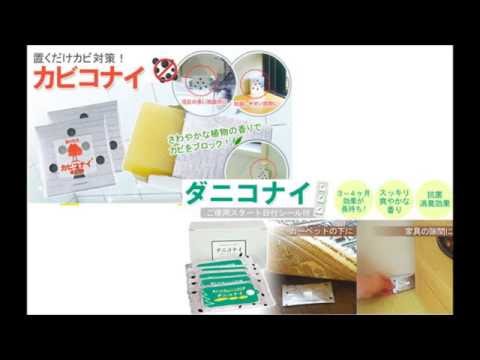 湿気のつら～い思い出にはさせない！カビコナイ ダニコナイ【自然館】