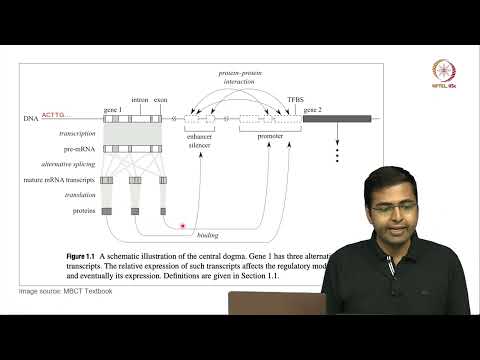 Lec 02 Molecular biology and high-throughput sequencing