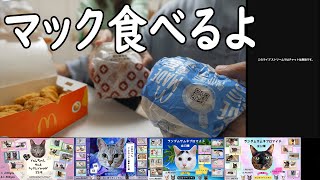 【夫婦雑談】マックのチーチーてりやきバーガー食べながら雑談しようよ